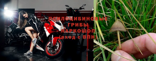 spice Красноярск